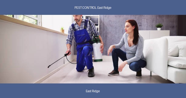 PEST CONTROL East Ridge